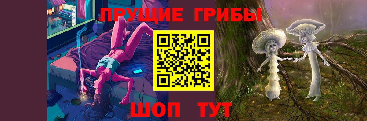 Псилоцибиновые грибы GOLDEN TEACHER  Вход с VPN  Котлас  Галлюциногенные грибы ЛСД 
