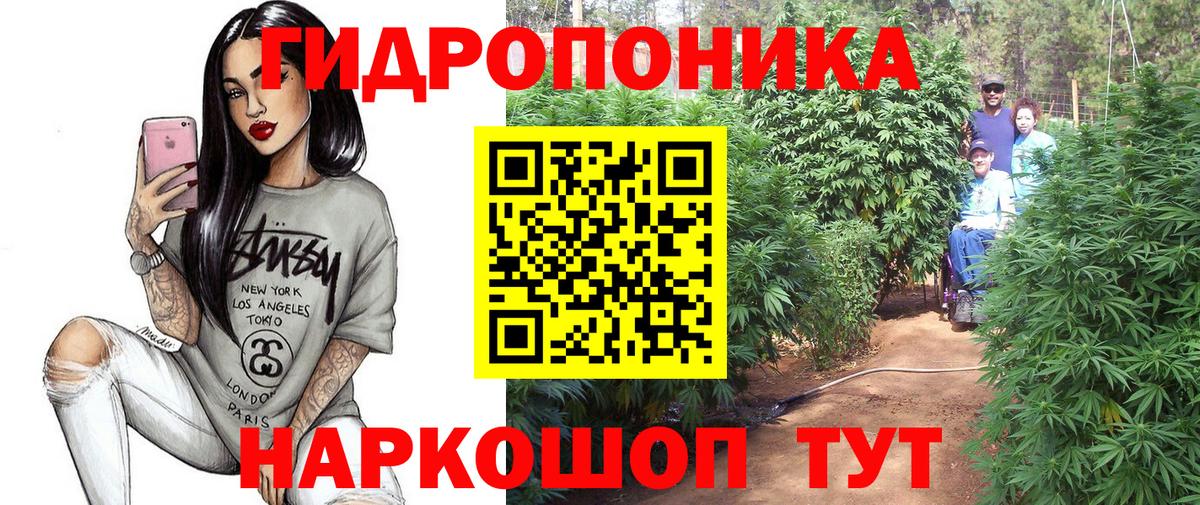 Шишки марихуана Amnesia Котлас